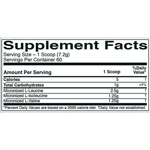 RULE 1 BCAAs 432g